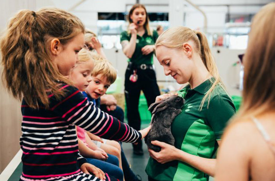 Pets at Home to host free pet workshops during the summer holidays