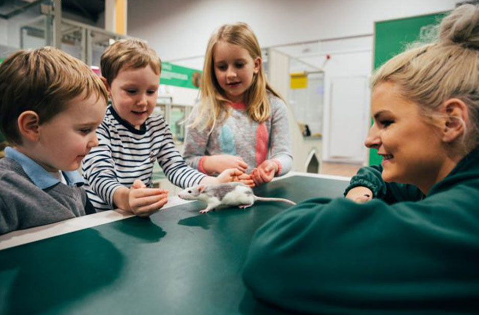 Free Pet Workshops across West Midlands this half-term